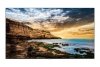 Samsung Monitor profesjonalny  QE65T 65 cali Błyszczący 16h^7 300(cd^m2) 3840x2160 (UHD) Lite Player (only)  3 lata On-Site (LH6